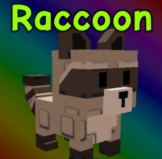 Raccoon