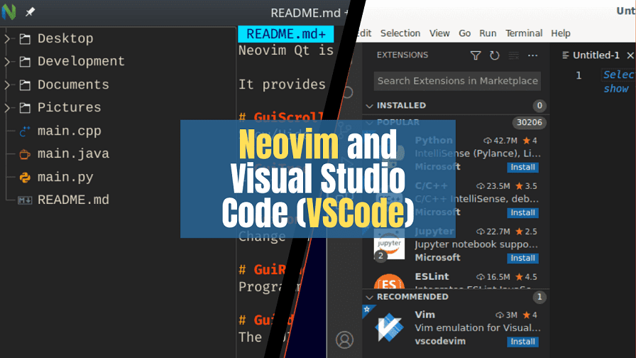 VS Code vs. Neovim