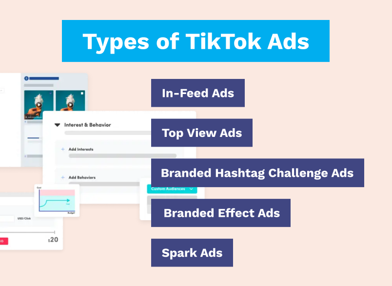 TikTok Ads 